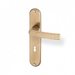 Rosa dverové štítové kovanie - F4 šampanská