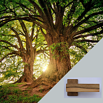 Doprajte vašim dverám kus pravej prírody